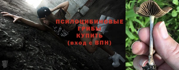мяу мяу кристалл Медвежьегорск